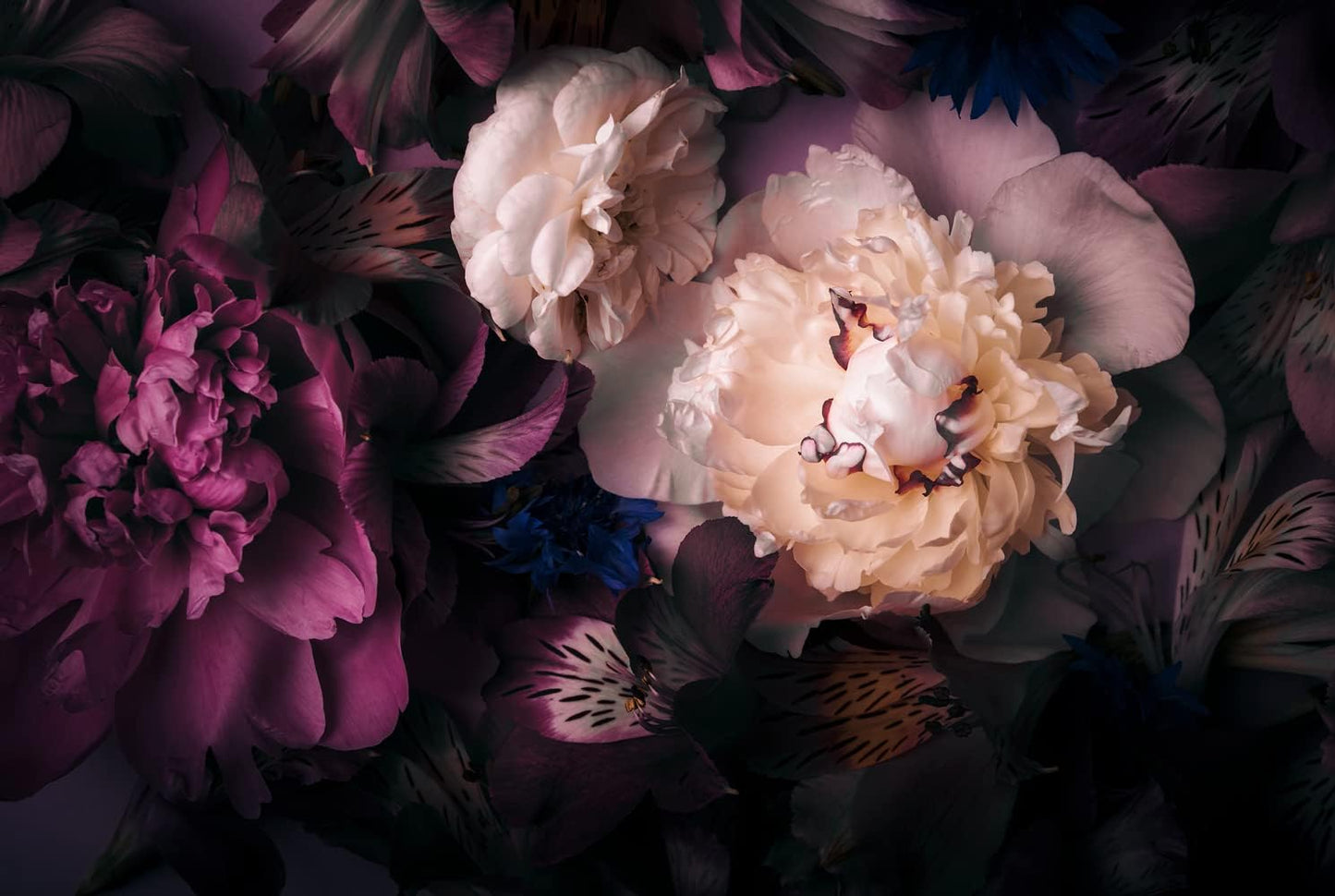 Dark Floral Wallpaper Peony Flowers Wall Mural Wallpaper for Girls Bedroom (Not Peel n' Stick)