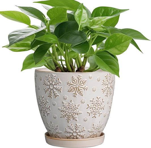 6.9 Inch Plant Pot with Drainage Hole and Saucer Ceramic Planter for Indoor Plant Flower Pot for Orchid Succulents Plants White