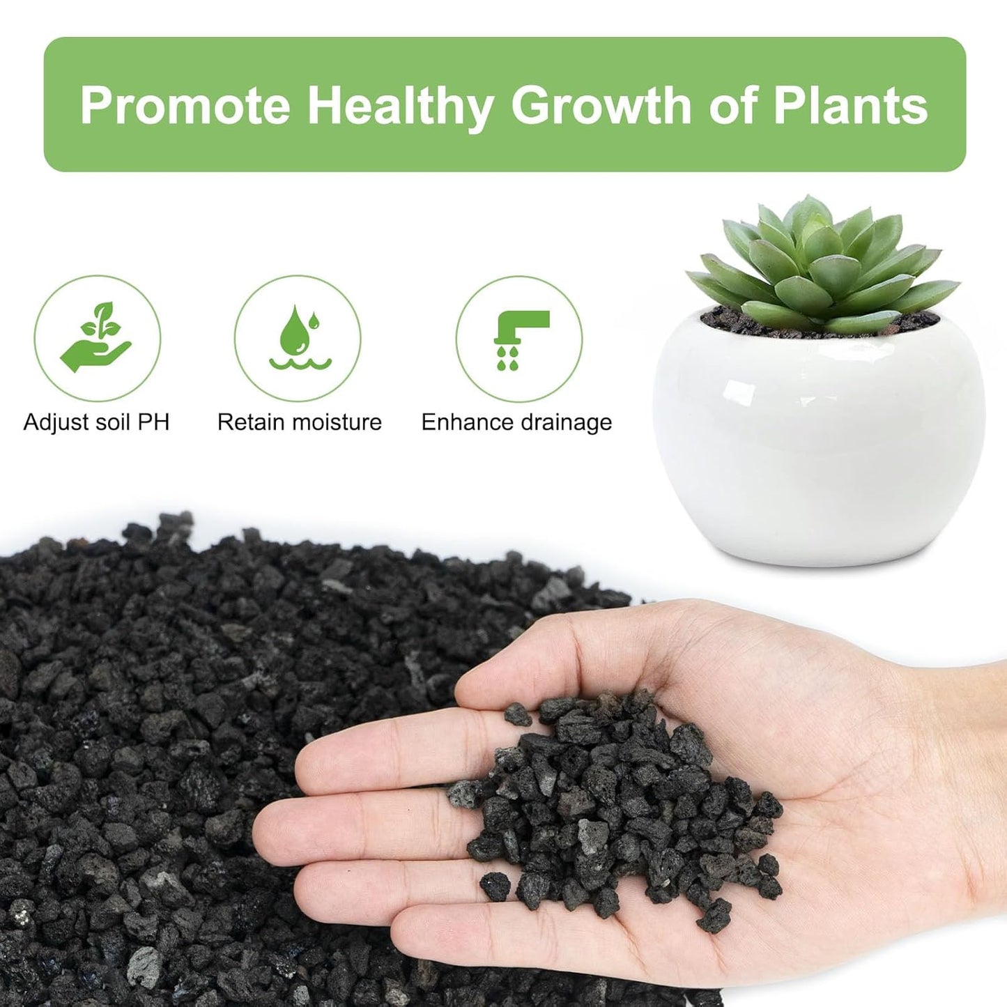 2.5lbs Lava Rocks for Plants, 1/5 Inch Black Gravel for Succulent, Cactus, Bonsai Tree, Pure Volcanic Rocks, Top-Dressing, Good Drainage