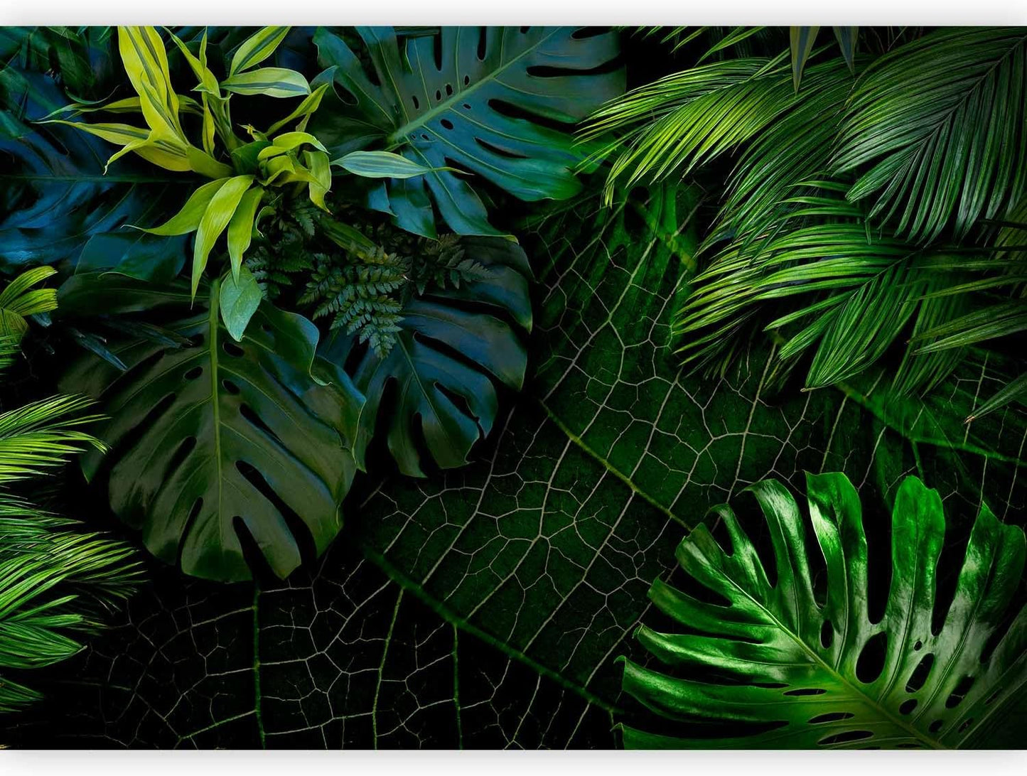 artgeist Wall Mural Tropical 118"x83" XXL Peel and Stick Self-Adhesive Wallpaper Removable Large Sticker Foil Wall Decor Print Picture Image Design