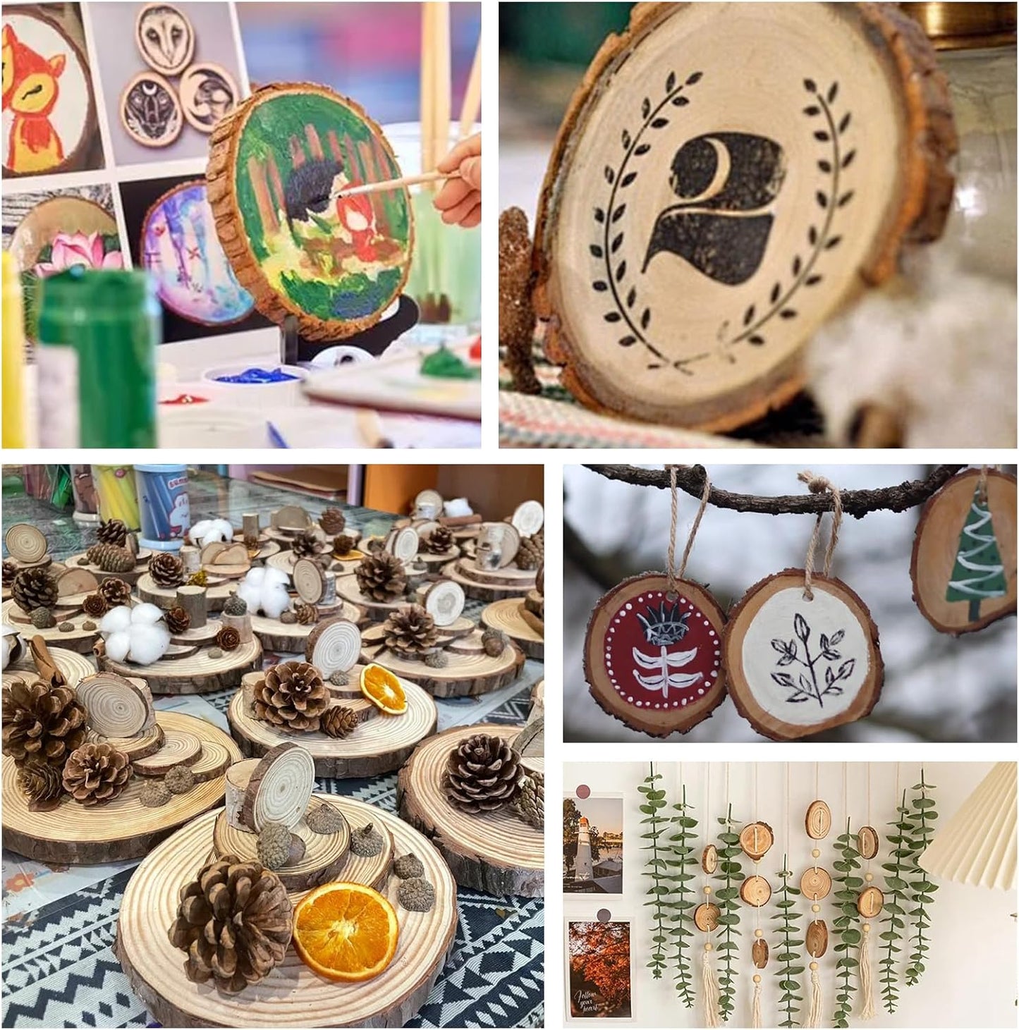 100 Pack Nature Wood Slices for Crafts,2.4-2.8In Unfinished Natural Wood Rounds.Wood Circles Predrilled with Hole and 20m Rope for Wooden Craft Supplies,Painting,Christmas Ornaments,DIY Gifts