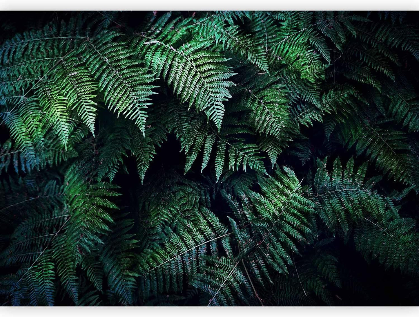 artgeist Premium Wall Mural 3D Effect 157x110 in - XXL Non-Woven Wallpaper Fleece Wall Decor Photo Print Picture Image Design Home Tropical Leaves b-C-0564-a-a