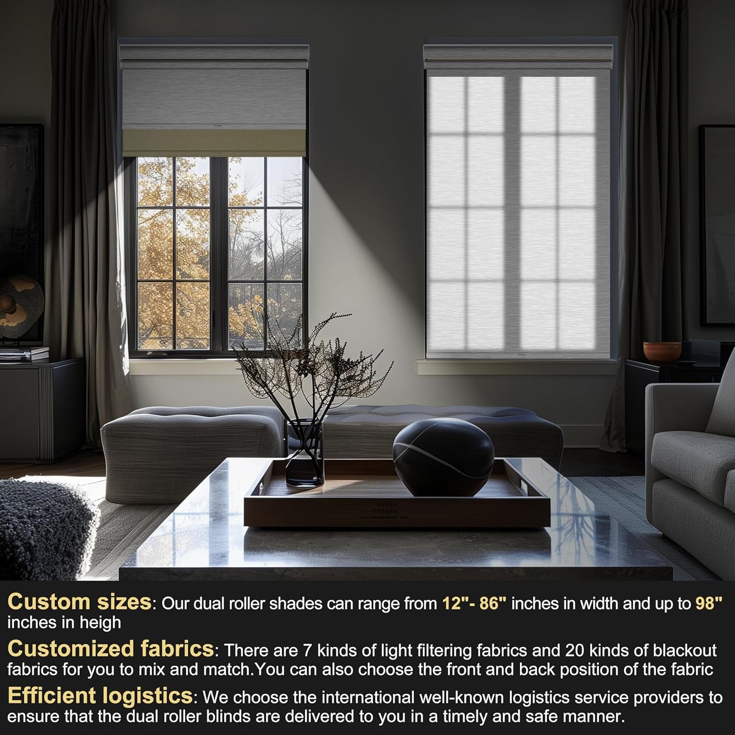 BERISSA Cordless Dual Roller Shades with Cassette Valance,Double Window Shades Blackout and Light Filtering Shades,Day and Night Roller Shades for Home Office Door.Beige and White.23 W x 56" H