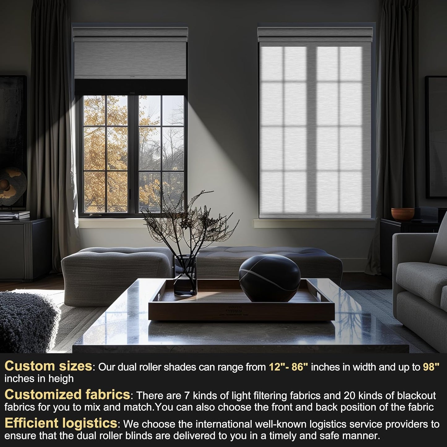 BERISSA Cordless Dual Roller Shades with Cassette Valance,Double Window Shades Blackout and Light Filtering Shades,Day and Night Roller Shades for Home Office Door.Linen Black and White.68 W x 56" H