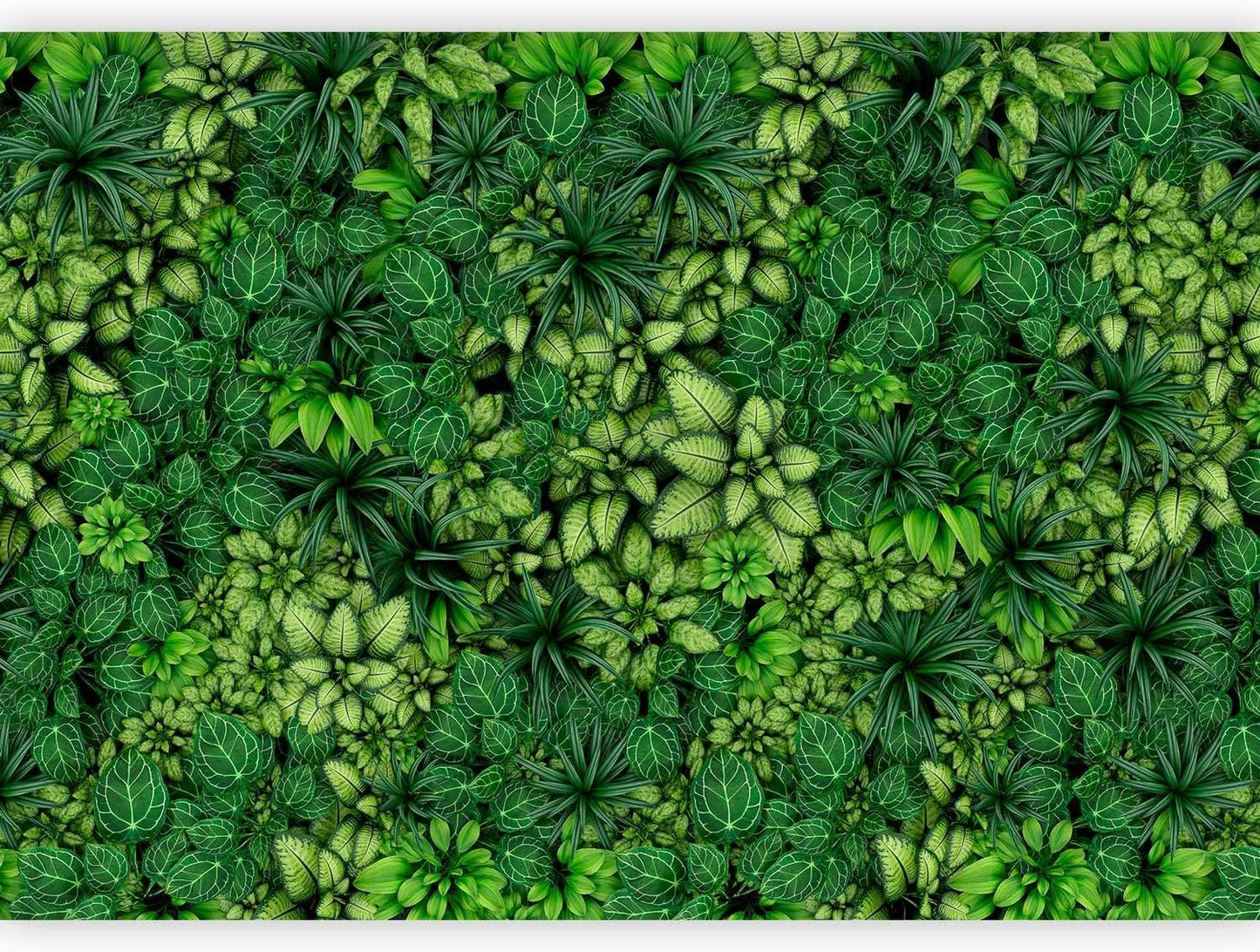 artgeist Premium Wall Mural Plants 197x138 in - Non-Woven Wallpaper Fleece Wall Decor Photo Print Picture Image Design Nature Botanics Tropical Leaves b-B-0601-a-a
