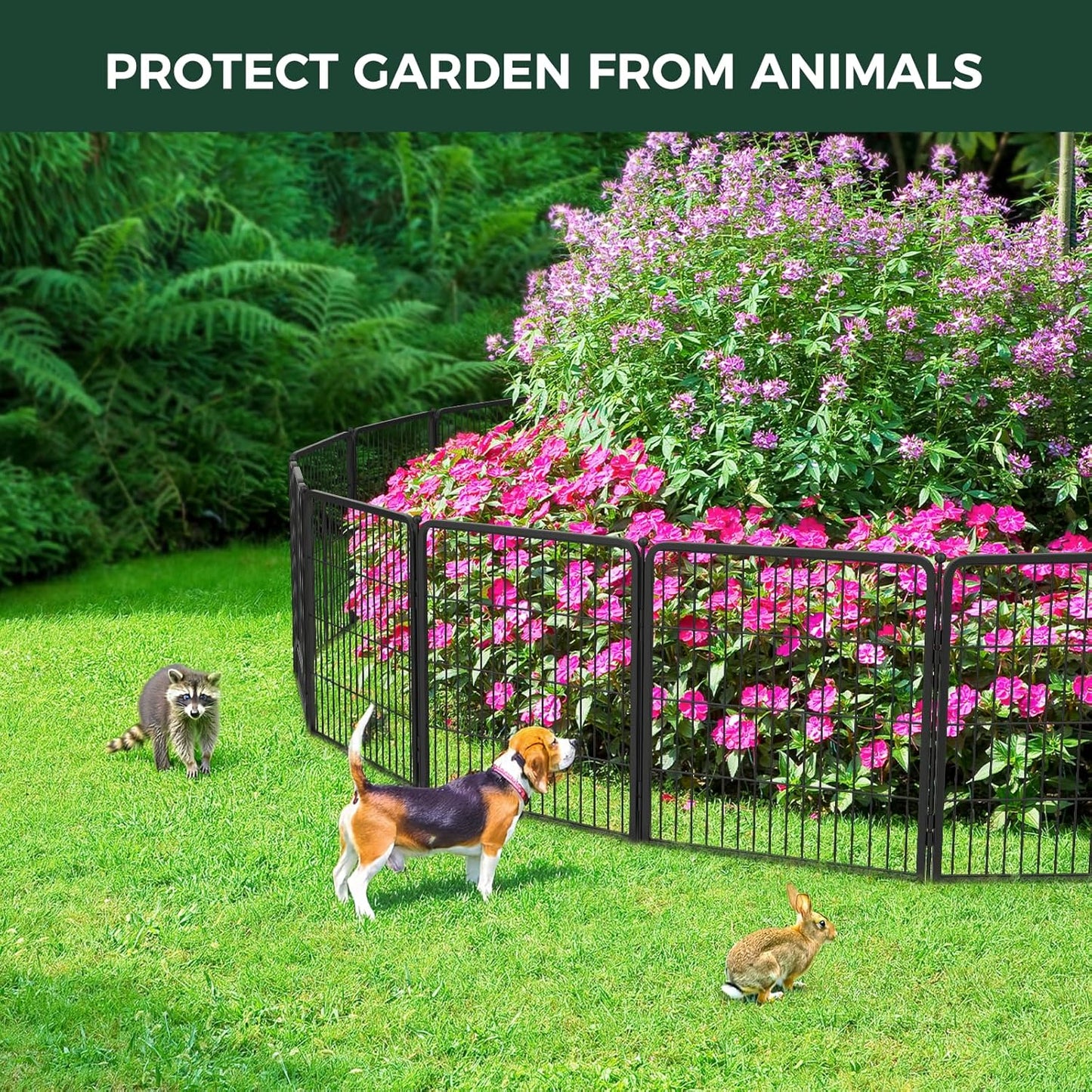 FXW Garden Fence Outdoor for The Yard – 50in(H) x 20.0ft(L) Heavy Duty Metal Animal Barrier for Dog and Rabbit, Decorative Dog Fence, 8 Panels, Black